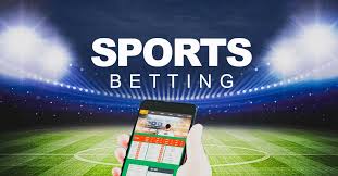 VIP Casino Programs with Premium Perks 12 VIP Casino Programs with Premium Perks 12